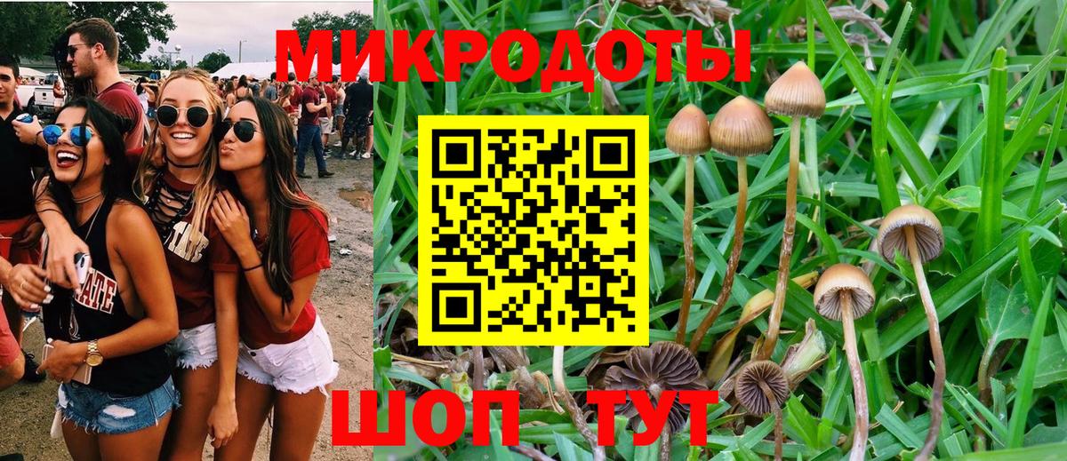 Галлюциногенные грибы Psilocybine cubensis  Галлюциногенные грибы мухоморы  Елец  Вход с VPN 