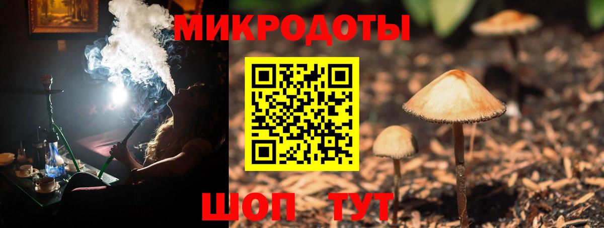 Галлюциногенные грибы мухоморы Елец